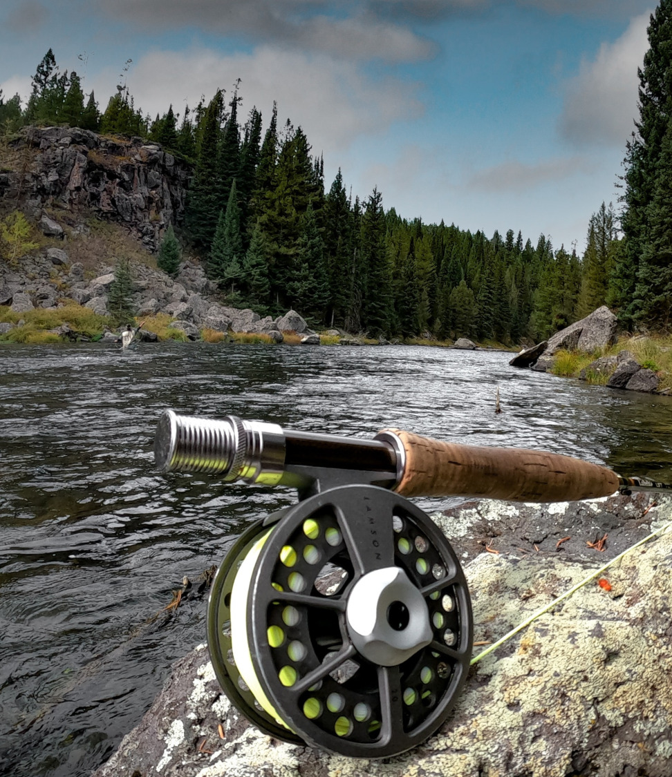 Fly Line